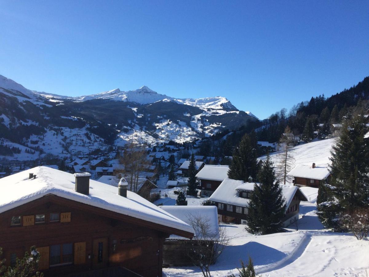 Appartamento Grindelwald-Sunneblick Esterno foto