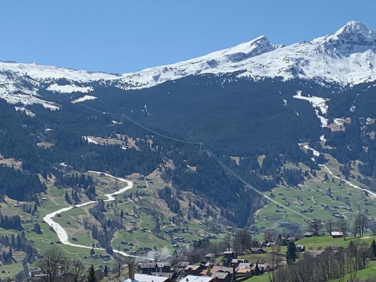 Appartamento Grindelwald-Sunneblick Esterno foto