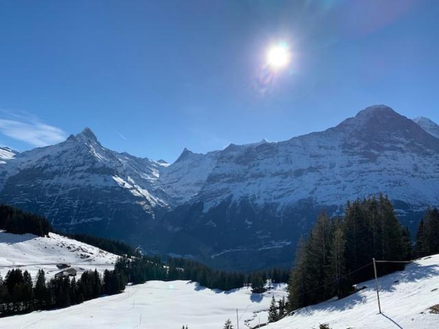 Appartamento Grindelwald-Sunneblick Esterno foto